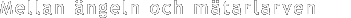 Mellan �ngeln och m�tarlarven 