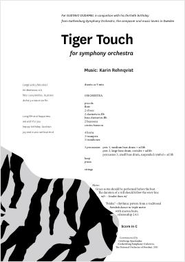 KarinRehnqvistTigerTouch2
